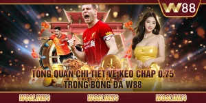 Tổng Quan Chi Tiết Về Kèo Chấp 0.75 Trong Bóng Đá W88