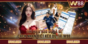 Tìm Hiểu Kèo Dụ Là Gì - Cách Nhận Biết Kèo Dụ Tại W88